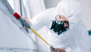 Emergency Pest Control in Beverly Hills, CA